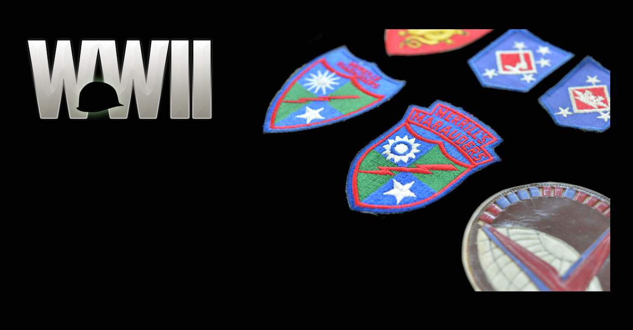 U.S. Patches and Wings